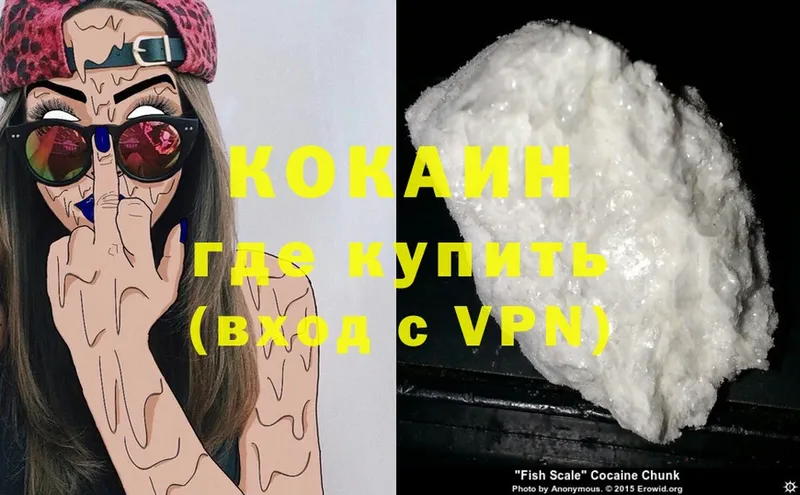 как найти   Новошахтинск  Cocaine Эквадор 