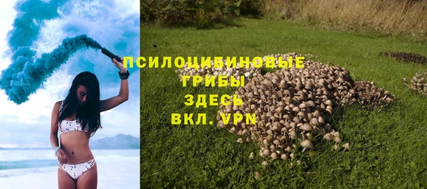 мяу мяу мука Иноземцево