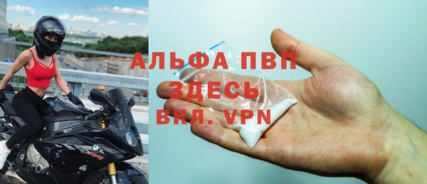 прущие грибы Кущёвская
