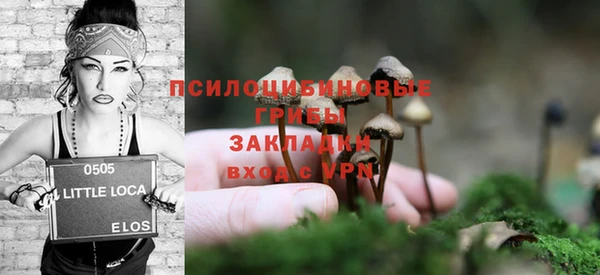 дурь Киреевск