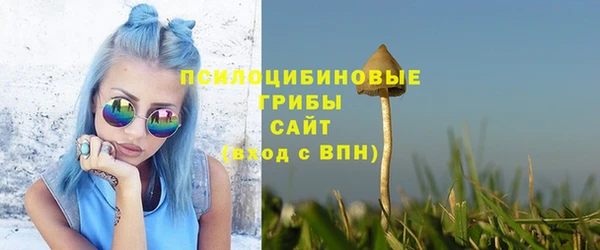 2c-b Янаул