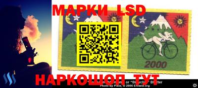 гашик Бийск