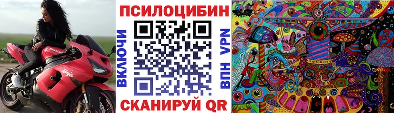 Галлюциногенные грибы Cubensis  МЕГА зеркало  Новошахтинск 