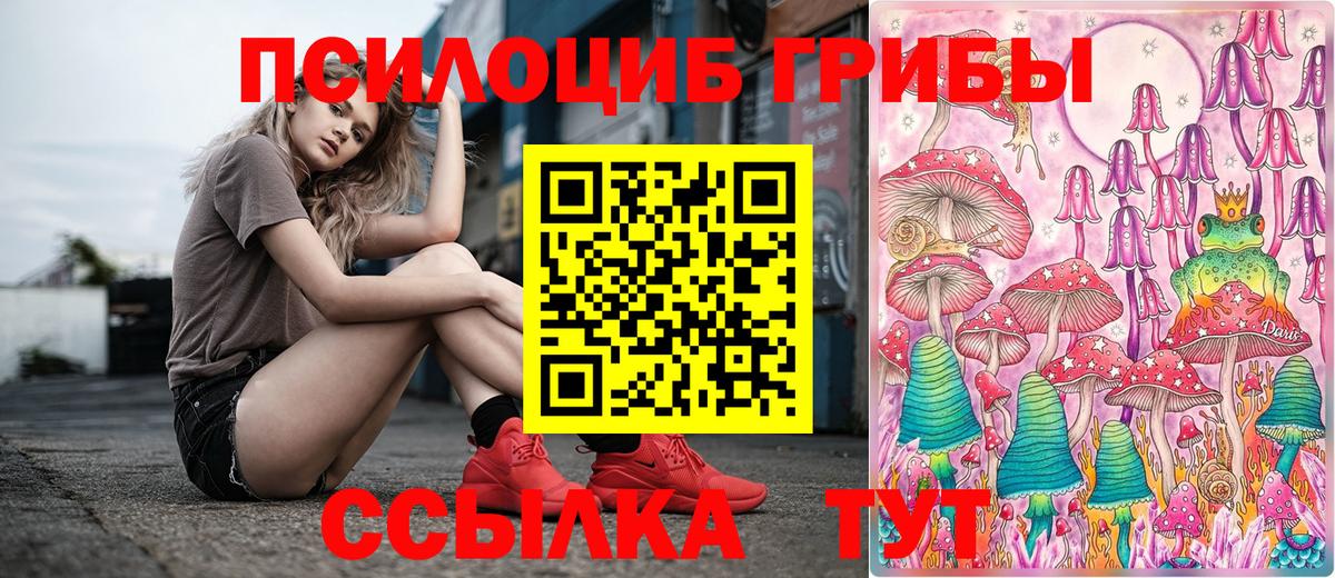 Псилоцибиновые грибы ЛСД Новошахтинск