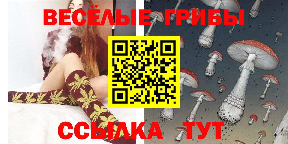 Галлюциногенные грибы прущие грибы  Галлюциногенные грибы Psilocybine cubensis  Новошахтинск 