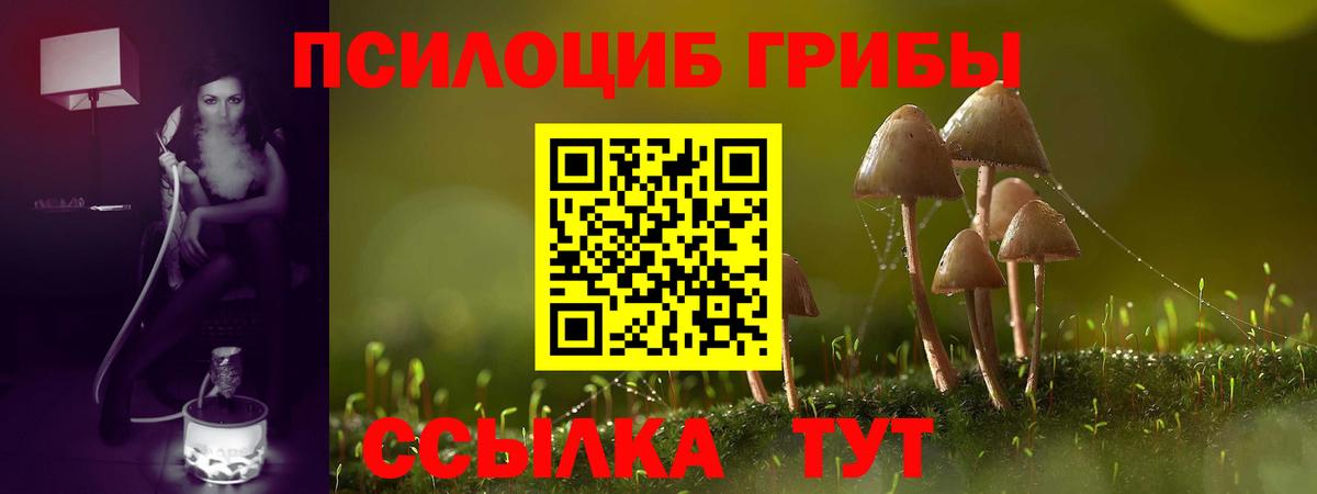 Псилоцибиновые грибы прущие грибы Новошахтинск