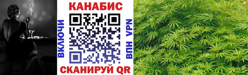 закладки  Новошахтинск  Конопля план 